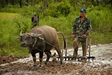 South Laos