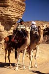 Jebel Acacus, men with their camels