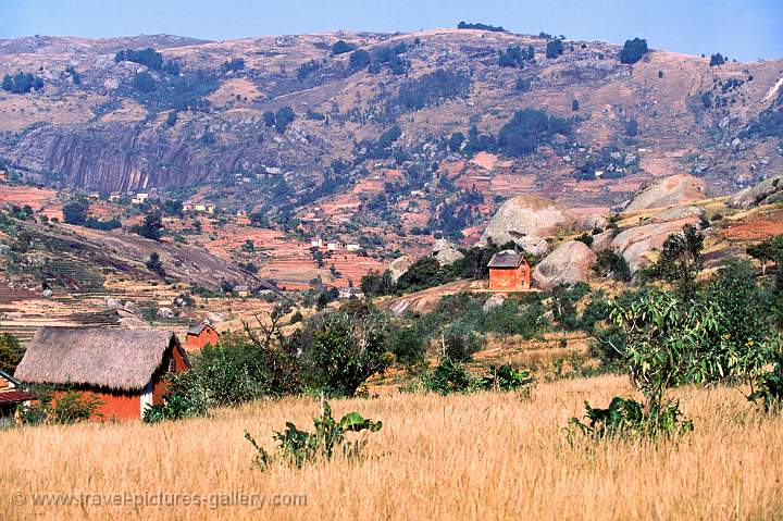 landscape near Ambositra, mimosa and eucalypt forest