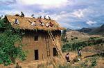 people building a house