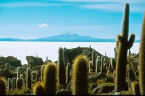 Uyuni