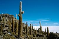 Pictures of Bolivia