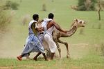 men catching a young camel