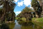 Rio Mulege, Reserva de la biosphera El Vizcaino
