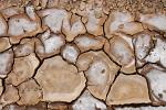 cracked dry mud, Desierto Central