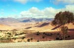 Pictures of Morocco -  landscape near Taroudannt