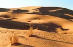 Sahara Desert sand dunes at Erg Chebbi (Merzouga)