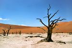 Namib Naukluft Desert National Park