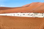 Namib Naukluft NP, Deadvlei