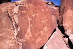 Bushman paintings, Twijfelfontein