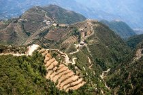 Langtang trek