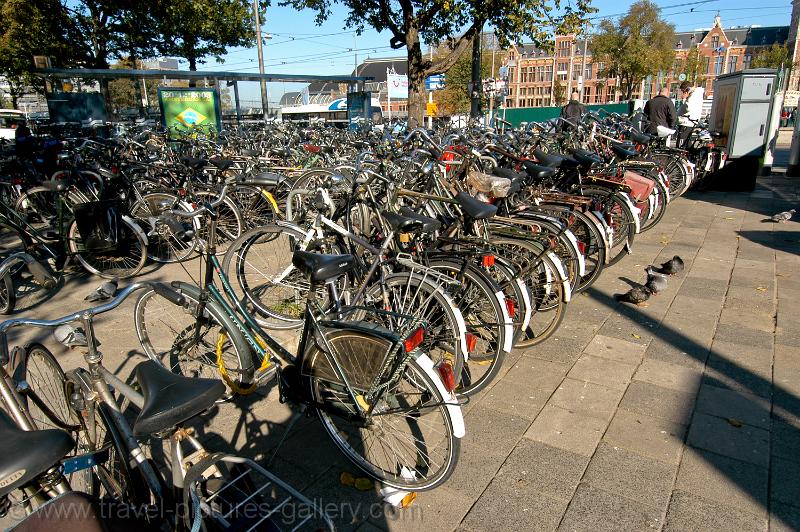 bikes, the Dutch way of getting around town