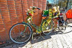 a flower bicycle, a leftover of the '70's