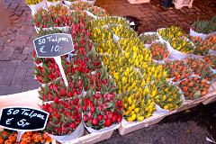 tulips, flower market