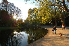late afternoon in the Vondel park