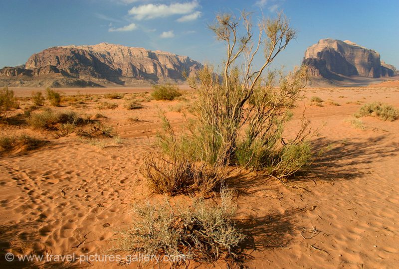 Jordan - Wadi Rum - desert view, sand and rocks