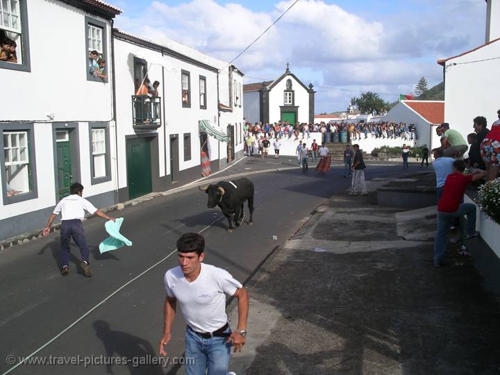 bull run, 'Tourada de Corda', Graciosa Island