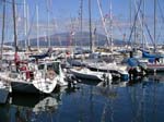 the marina at Horta, Faial Island