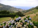 Fazenda to Monte walk, east coast, Flores Island