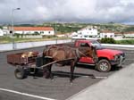 horse and cart neatly parked, Flores Island