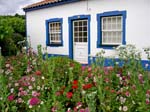 neat house and flower garden, Graciosa Island