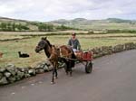 local transport by horsecart, Graciosa Island