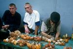 men selling fresh mushrooms, Novgorod market