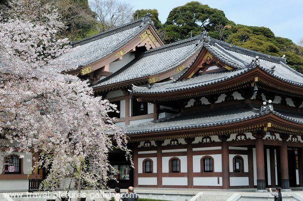 Kamakura, Japan