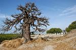 Pictures of Senegal - Joal Fadiouth