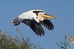 Pictures of Senegal - Sine Saloum Delta