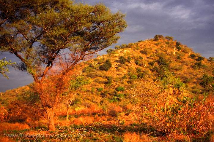 Omo Valley - Mago National Park