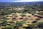 Lake Abiata - Shala National Park