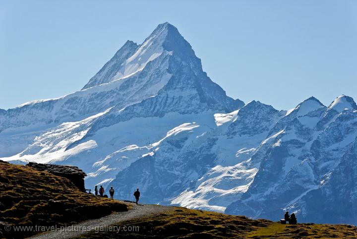 trekkers with the Wetterhorn in the background