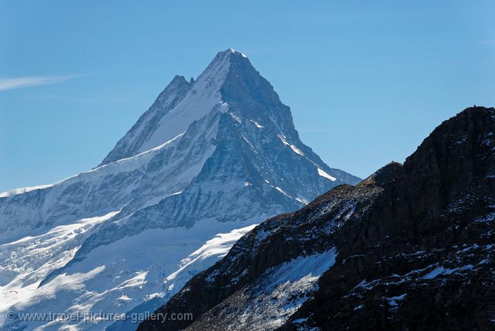 Wetterhorn peak, Bernese Oberland