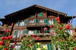 traditional alpine wooden house