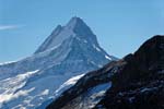 Wetterhorn peak, Bernese Oberland