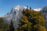 Grindelwald, Wetterhorn