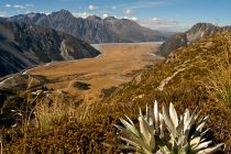 Aoriki - Mt Cook NP