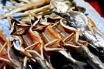 Irkutsk, dried fish on the market, Lake Baikal