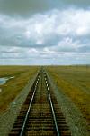  a single track through the grassy plains, Mongolia