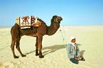 Berber man with his camel in the Sahara town of Douz