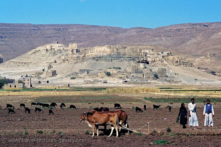йемен промышленность