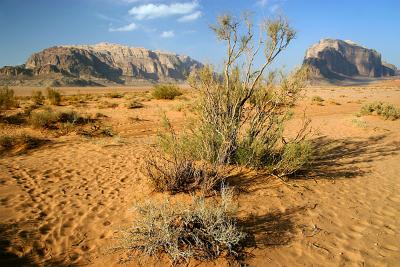 Wadi Rum