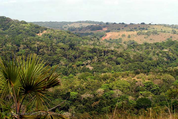 Shimba Hills National Reserve