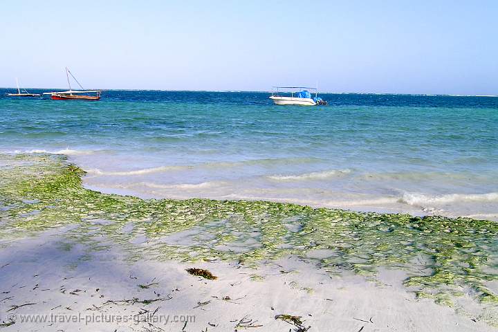 Nyali Beach