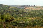 Shimba Hills National Reserve