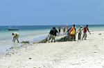 fishermen on Nyali Beach