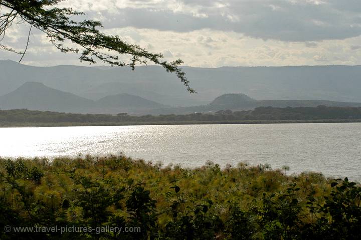 view of the lake from Elsamere Conservation Centre