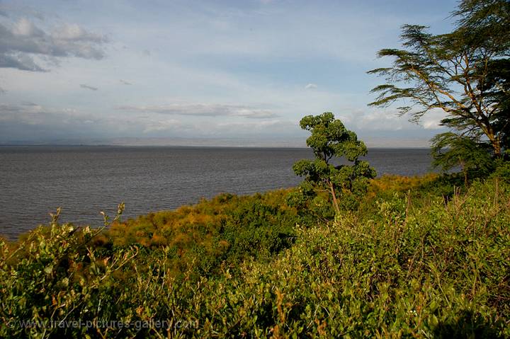 view of the lake from Elsamere