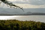 view of the lake from Elsamere Conservation Centre